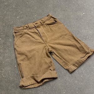 Lands end Men's Tan and Brown Shorts